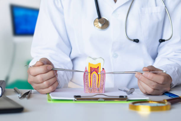 Best Tooth Pain Emergency Relief  in Calcutta, OH